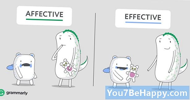 Affective vs. Effective - Каква е разликата?