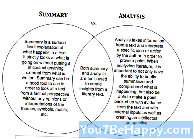 Analisi vs. analisi: qual è la differenza?