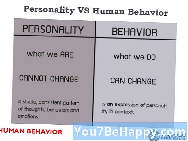 Comportament i comportament: quina és la diferència?
