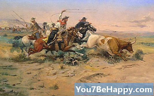 Cowhand vs. Cowboy - ความแตกต่างคืออะไร?