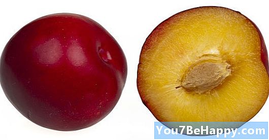 Crimson vs. Plum - Apa perbezaannya?