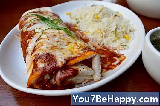 Enchilada proti Burrito - v čem je razlika?