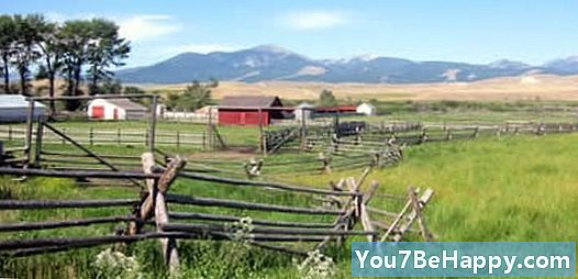 Farm vs. Ranch - Qual è la differenza?