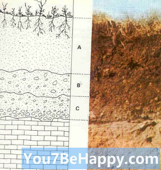 Grond versus bodem - wat is het verschil?