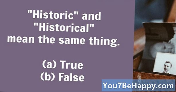 Histórico versus histórico: ¿cuál es la diferencia?