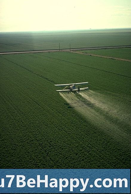 Insekticidi protiv pesticida - u čemu je razlika?