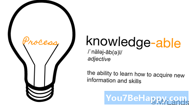 지식과 지식의 차이-차이점은 무엇입니까?