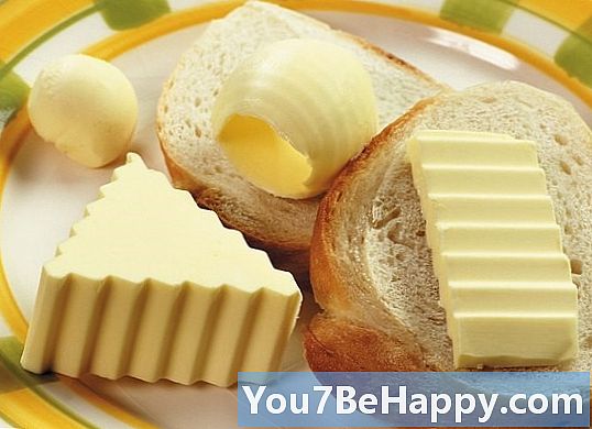 라드 대 버터-차이점은 무엇입니까?
