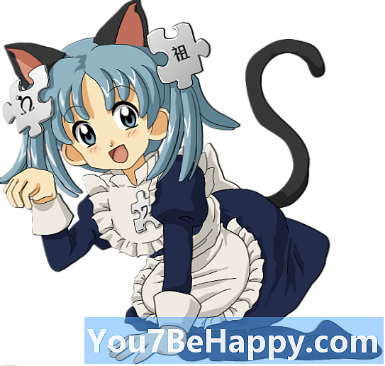 Nekomimi vs Catgirl: quina diferència hi ha?