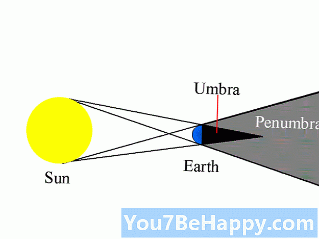 Penumbra versus Umbra - Wat is het verschil?