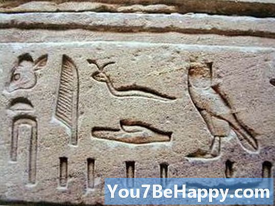 Petroglyph vs. Hieroglyph - Hva er forskjellen?