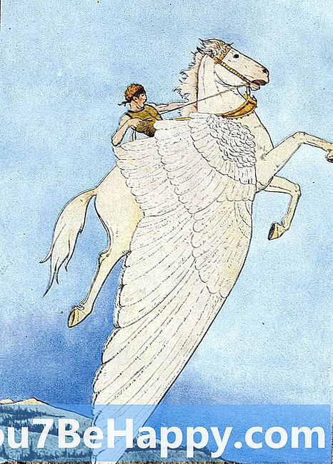 Unicorn kumpara sa Pegasus - Ano ang pagkakaiba?