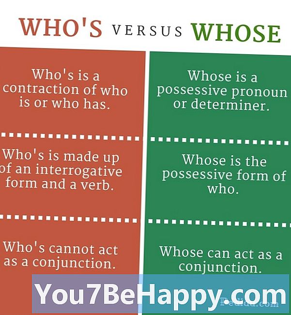Whos vs. cui - Care este diferența?