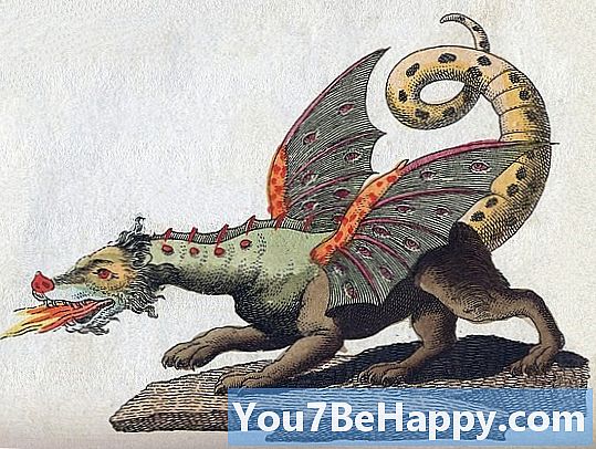 Wyrm vs. draakon - mis vahet on?