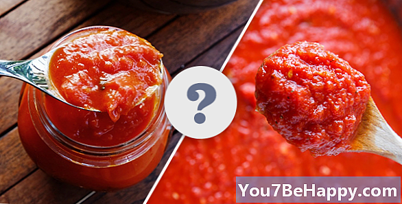 Razlika med Marinoro in paradižnikovo omako