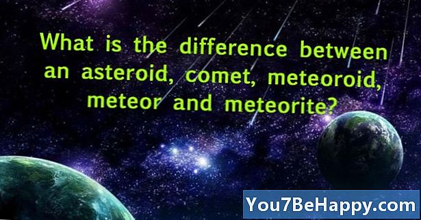 Forskjellen mellom asteroide og meteoroid