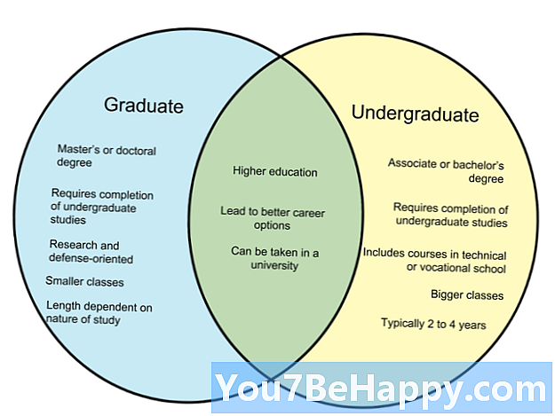 Erinevus kraadiõppe ja bakalaureuse vahel