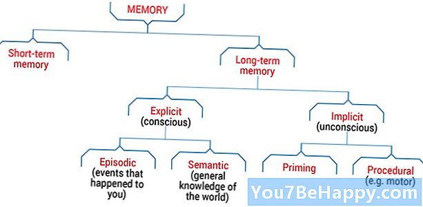 Forskjellen mellom implisitt minne og eksplisitt minne