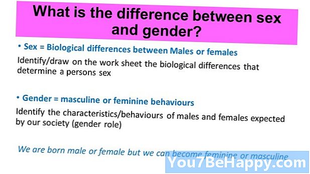 Rozdiel medzi pohlavím a pohlavím