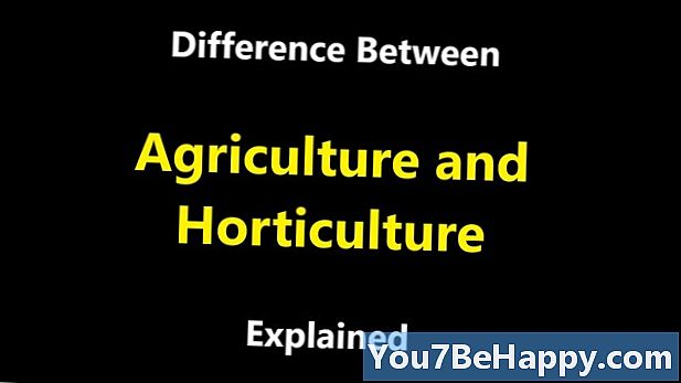 Rozdíl mezi zemědělstvím a zahradnictvím