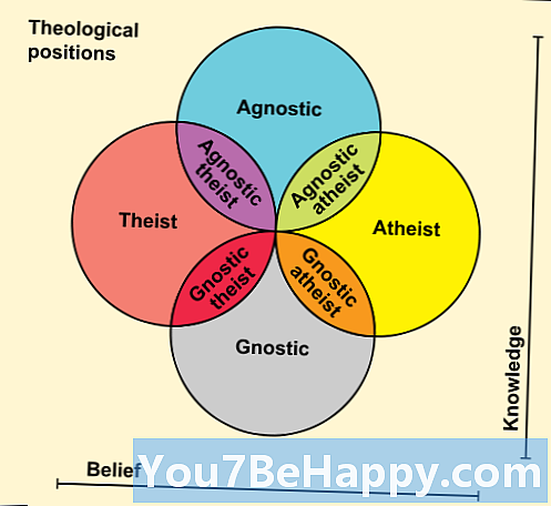 Ero ateistien ja agnostikkojen välillä