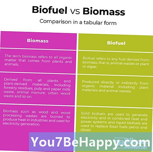 Forskjellen mellom biodrivstoff og biomasse