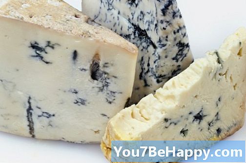 Diferencia entre queso azul y queso gorgonzola