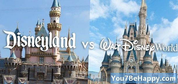 Forskjellen mellom Disneyland og Disney World