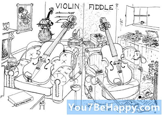 Rozdíl mezi housle a houslemi