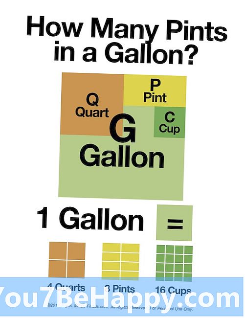 Différence entre gallon et litre