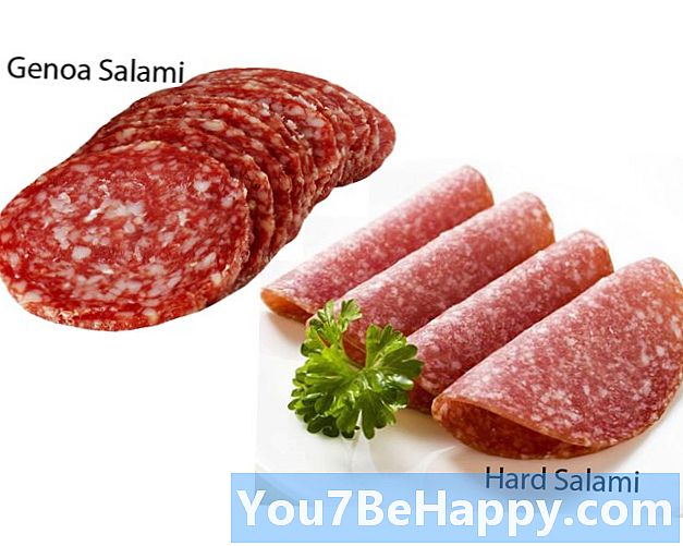Skillnaden mellan Genoa Salami och Hard Salami
