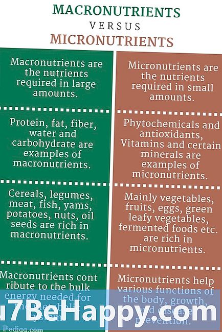 Verschil tussen macronutriënten en micronutriënten