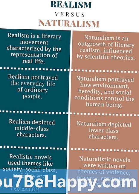 Разлика между натурализъм и идеализъм