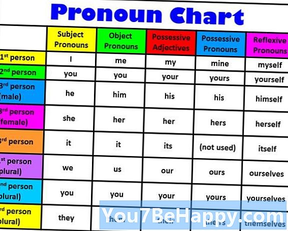 Perbedaan Antara Noun dan Pronoun
