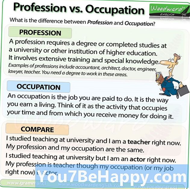 Diferencia entre ocupación y profesión - Estilo De Vida
