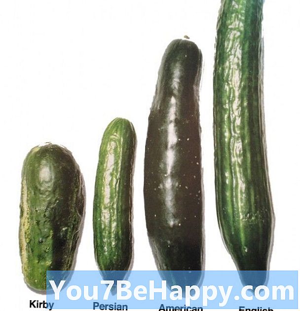 Разлика между Pickle и Gherkin