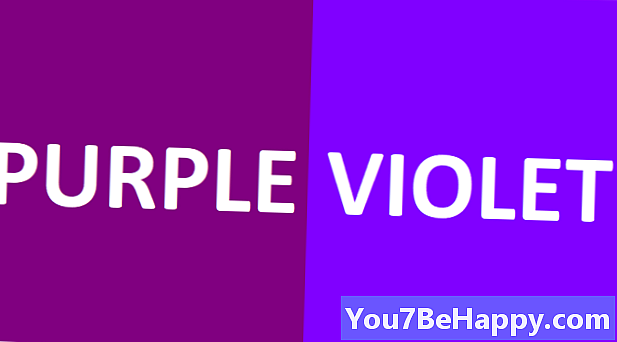 Forskellen mellem lilla og violet