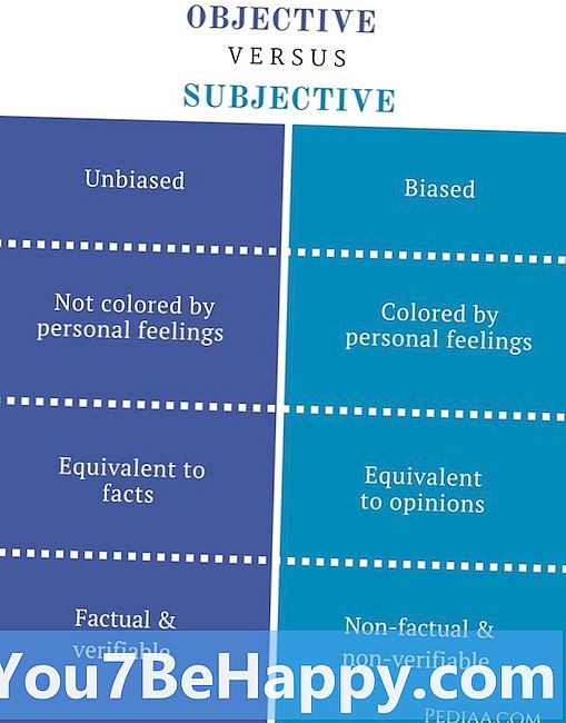 Erinevus subjektiivse ja objektiivse vahel