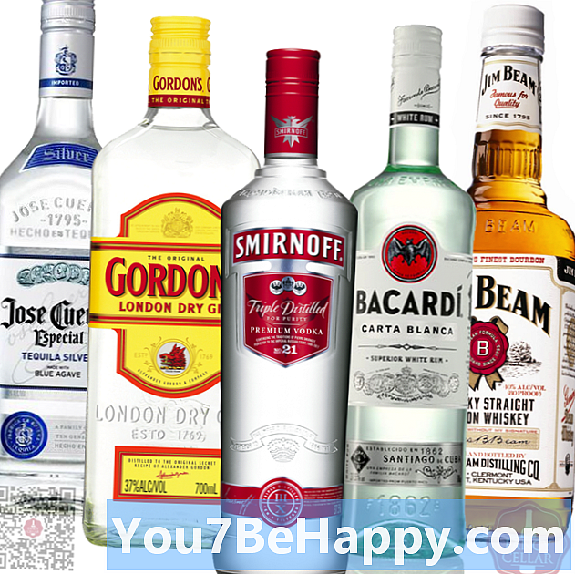 Perbedaan Antara Tequila dan Vodka