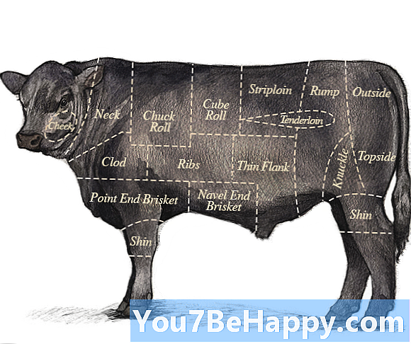 Forskellen mellem kalvekød og oksekød