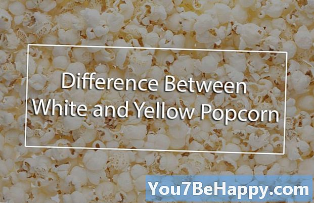 Разлика между бяла пуканка и жълтата пуканка