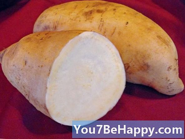 Rozdiel medzi bielym sladkým zemiakom a pomarančovým sladkým zemiakom