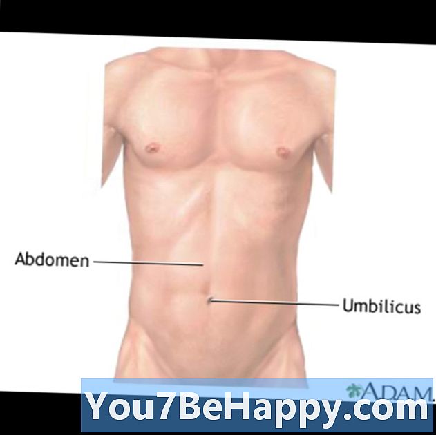 Différence entre abdomen et estomac - Science