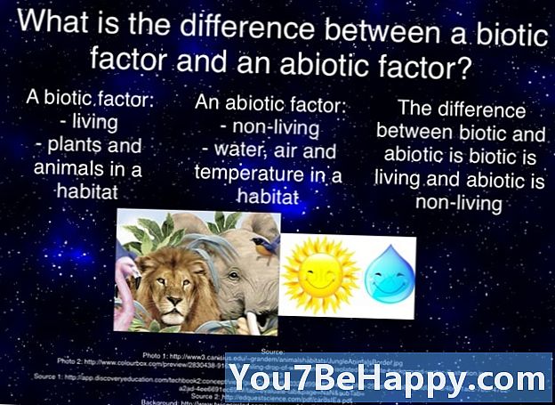 Forskellen mellem Abiotisk og Biotisk