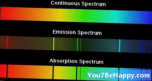 Diferencia entre espectro de absorción y espectro de acción