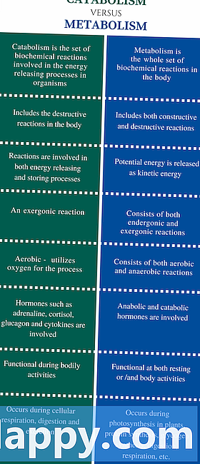 Erinevus aeroobse ja anaeroobse hingamise vahel