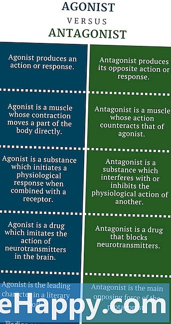 Skillnaden mellan agonist och antagonist