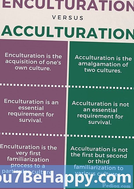 Skillnaden mellan Enculturation och Acculturation