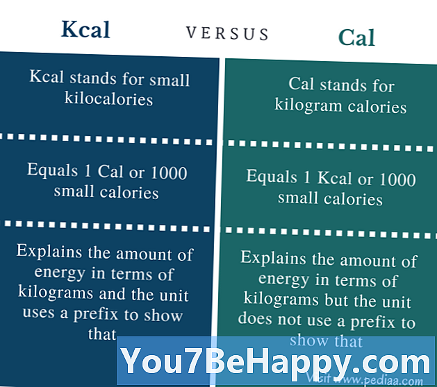 Razlika između Cal i Kcal