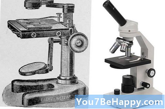 Diferença entre microscópio composto e microscópio de dissecação